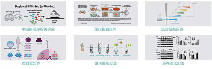 1769505737157988.jpg JX-CKSW系列產品應用-700.jpg